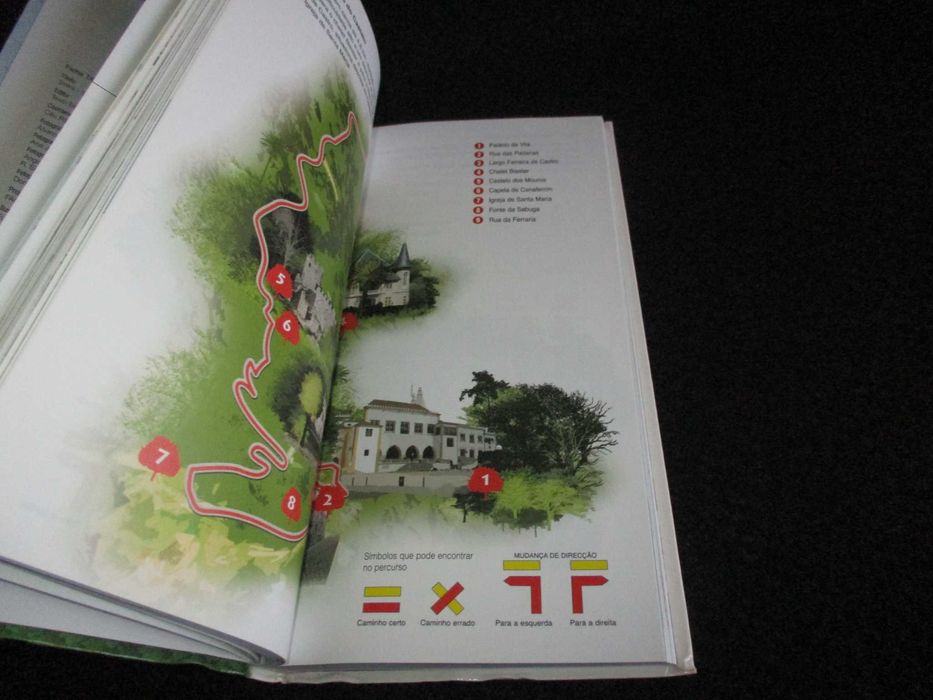 Livro Sintra Guia do Concelho Céu Ribeiro 1ª edição 2008