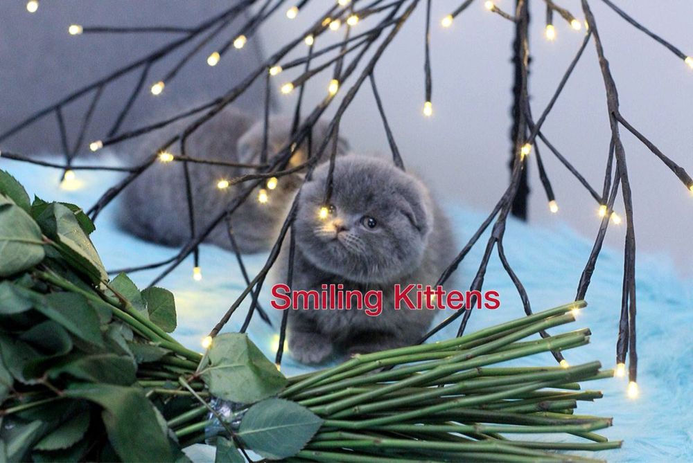 Завжди є куди ще краще