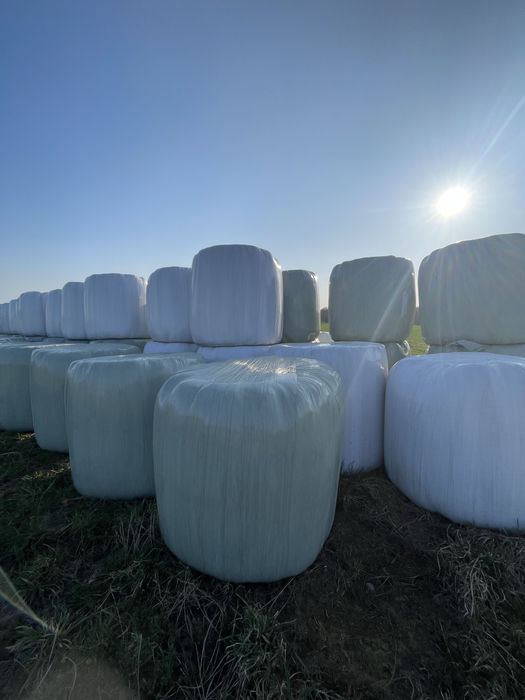 Sianokiszonka lucerna bele 120