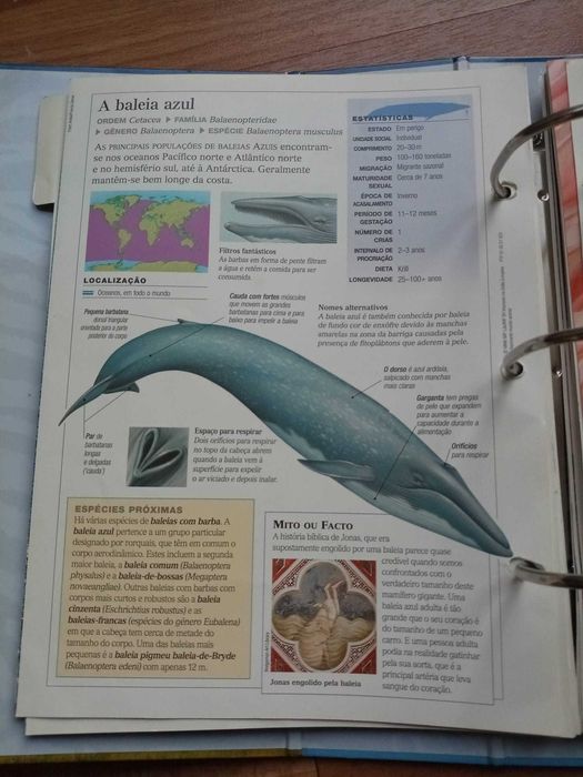 Livro do mundo animal