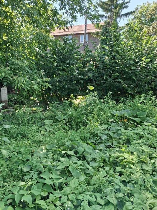 Терміново! Продам будинок в центрі міста