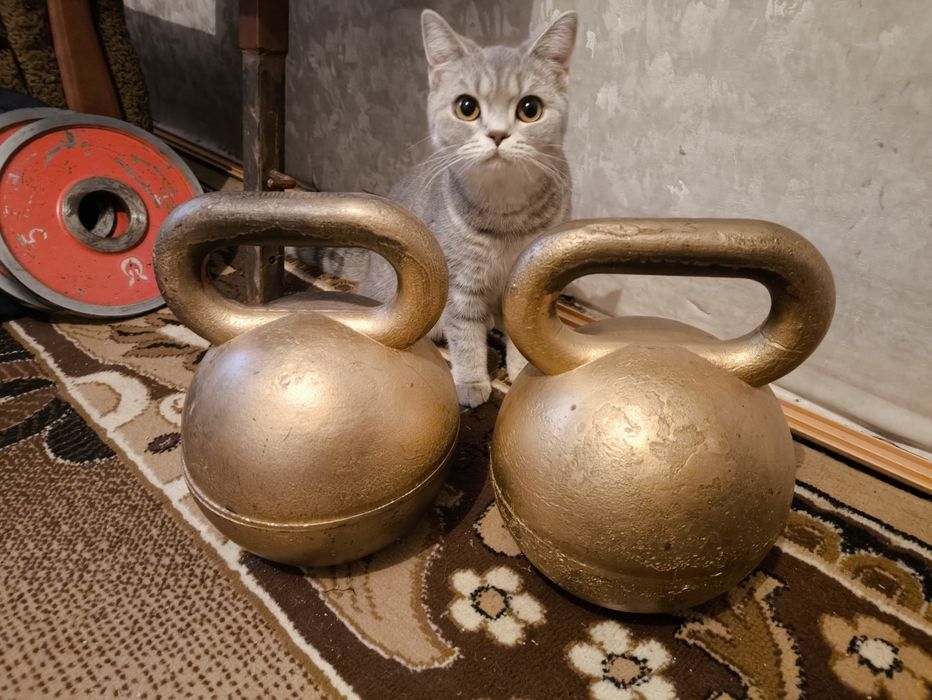 Спортивный инвентарь