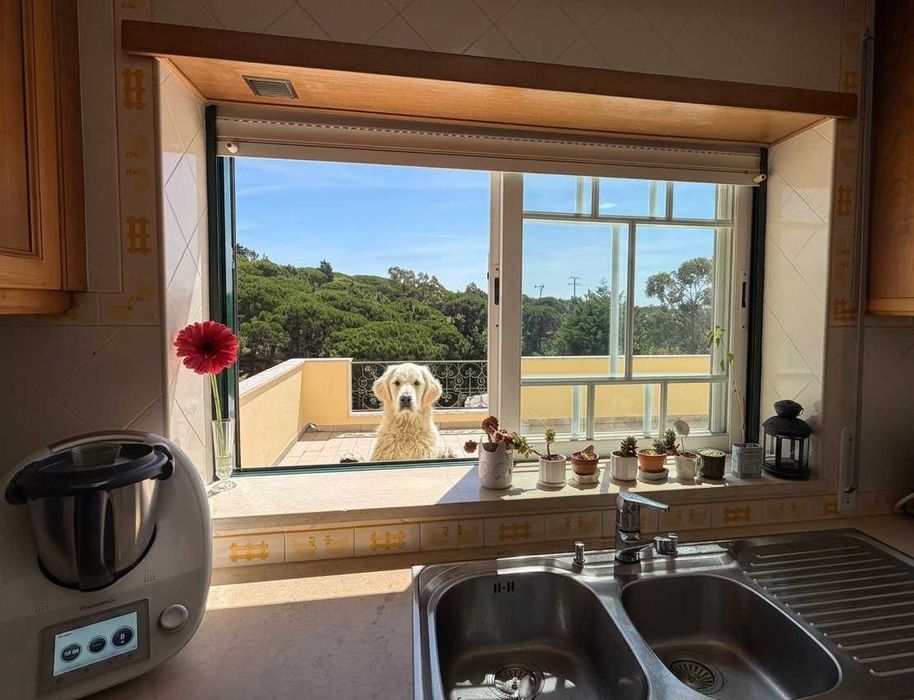 Moradia Isolada T4 com Vista Mar, Piscina e 2.000m² de Terreno