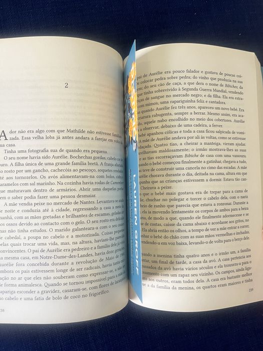 Destinos e Fúrias - livro