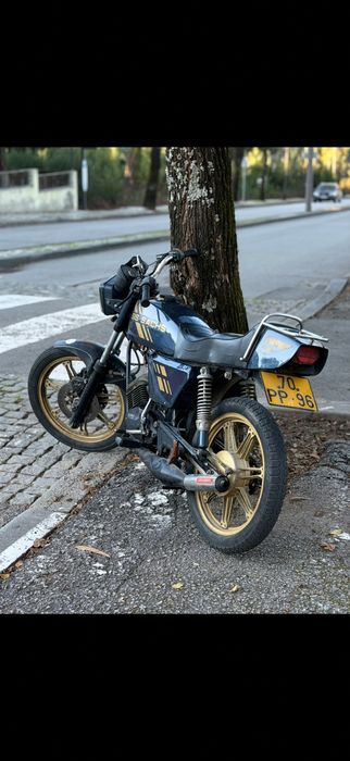 Sachs lotus export