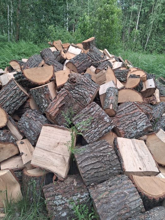 Купить дрова різних порід з доставкою