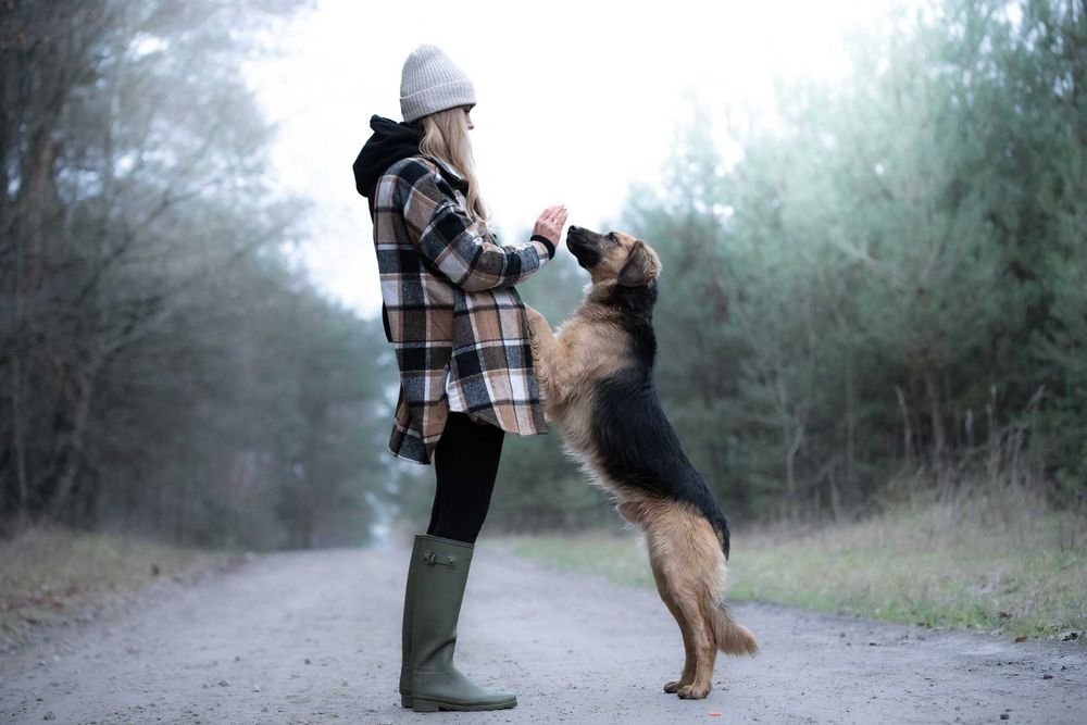 CZINI - młody wesołek