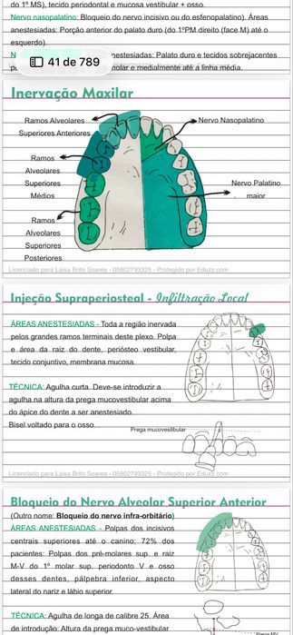 Fichas de estudo Medicina Dentaria  – material completo em PDF