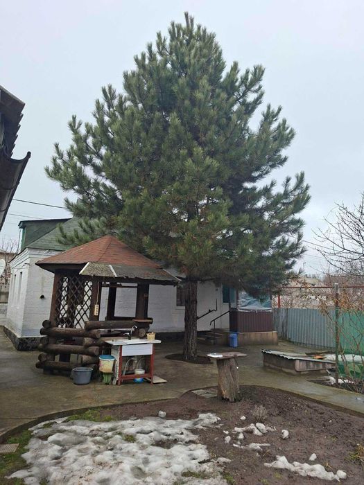 Продам домовладение с двумя домами в Сухачёвке 15 соток земли