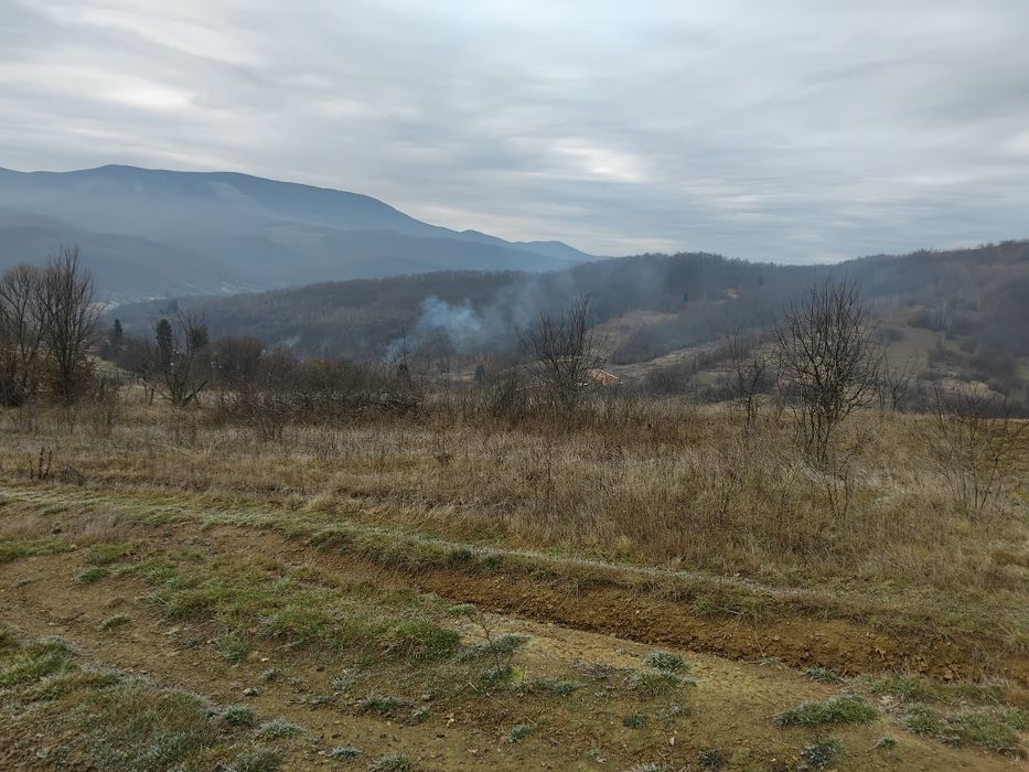 Продаю земельну ділянку  на березі річки  Латорица  у Свалява