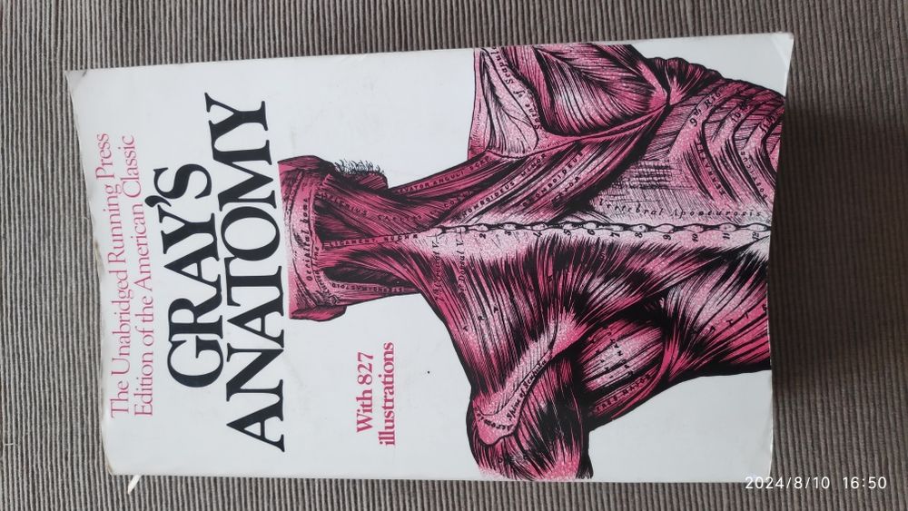 Anatomia człowieka w języku angielskim. Grays Anatomy
