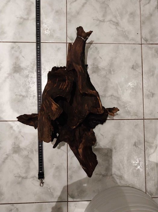 Korzenie do akwarium