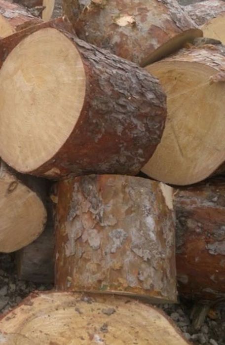 Дрова по безготівковому, готівковому рахунку для підприємств та домого