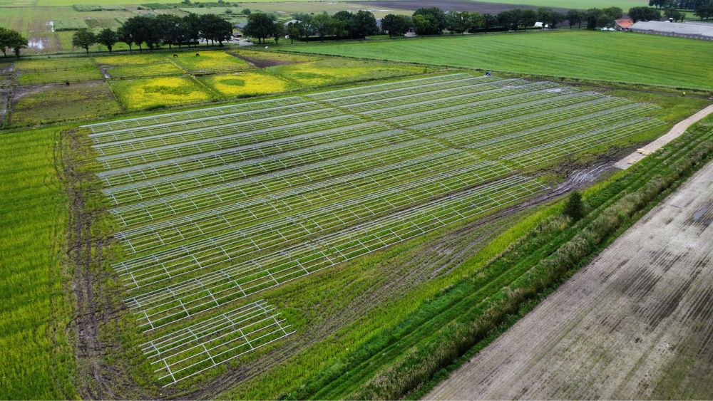 Kafarowanie farm fotowoltaicznych