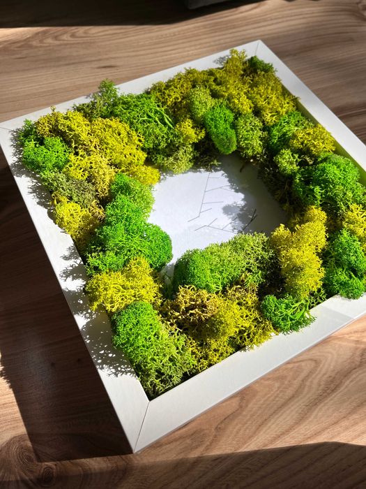 Diy ramka dekoracja 3D mech chrobotek ozdoba poroże na ścianę