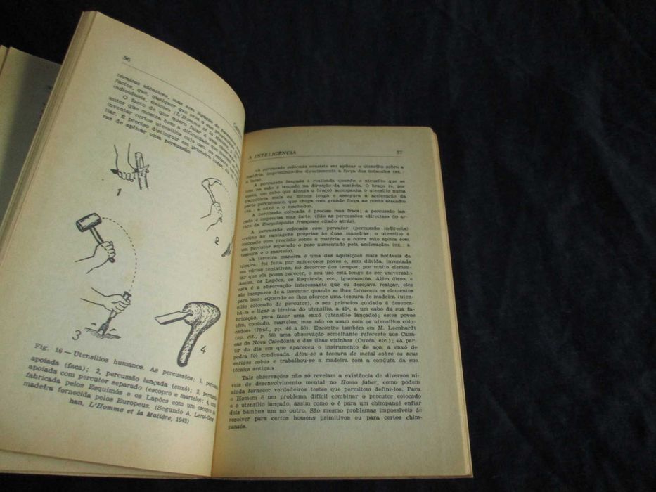 Livro A Inteligência Gaston Viaud Colecção Saber