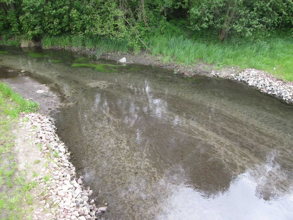Sprzedam działkę - lasek, rzeczka - Widok 2