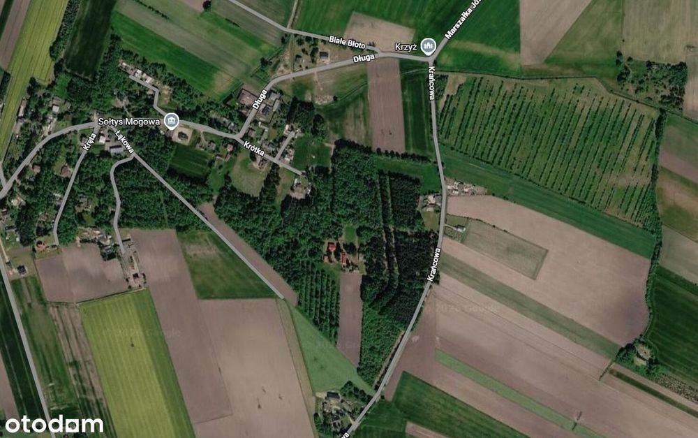 Siedlisko- dom mieszkalny, budynki gospodarcze, MOGOWO obok NASIELSKA - Widok 4