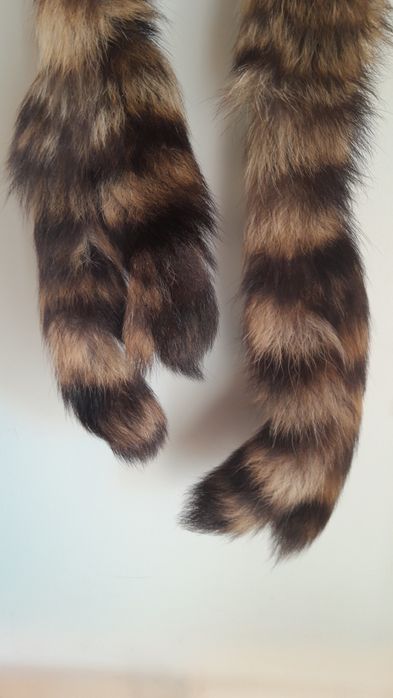 Estola em pele raposa.