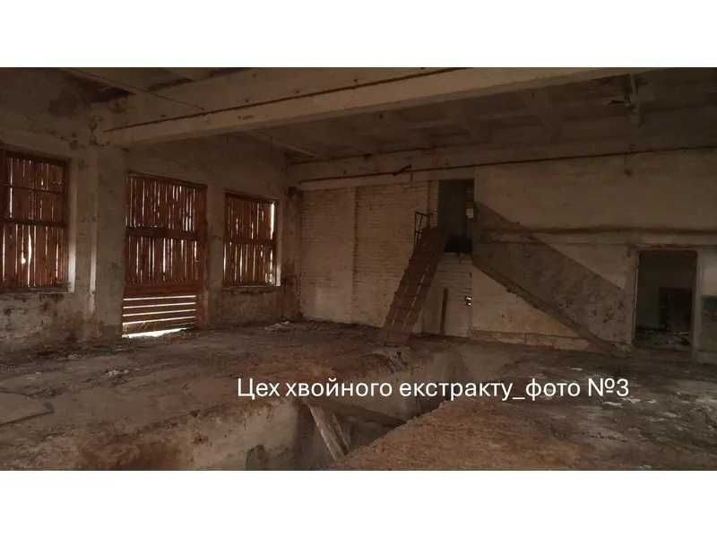 ПРОДАЖ - Цех стружки - майстерня РММ, їдальня та цех хвойного екстракту, площею 1289,0 кв.м. м. Володимир, вул. Сонячна, 1
