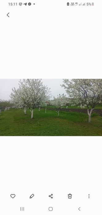 Продам господарство в селещі Котельва