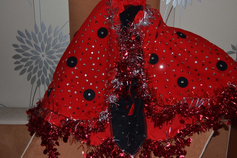 Новорічний костюм "Божья корівка"