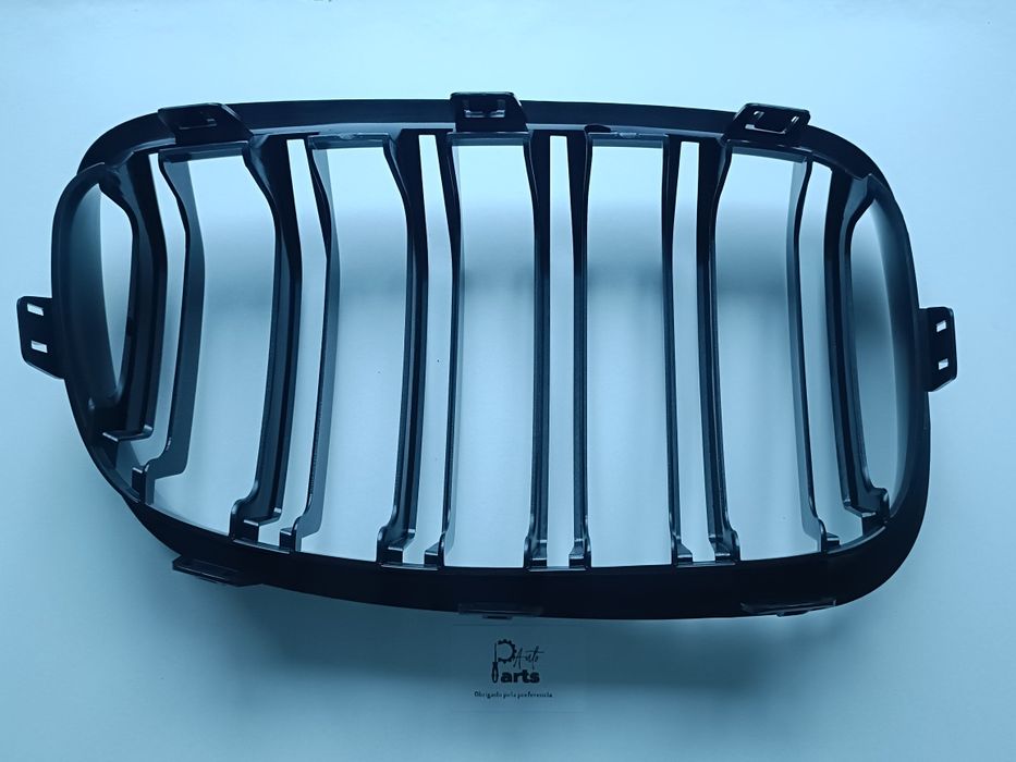 Grelhas Frontais aro duplo BMW F20 F21 LCI preto