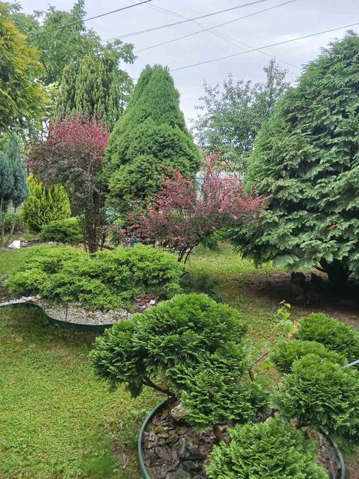 Садівник. Озеленення та ландшафтний дизайн.