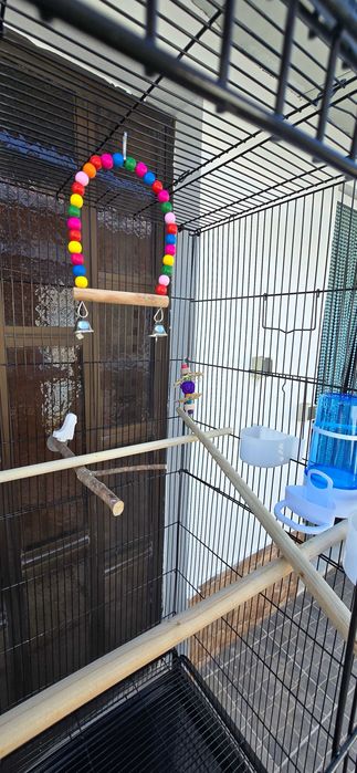 Gaiola grande com brinquedos