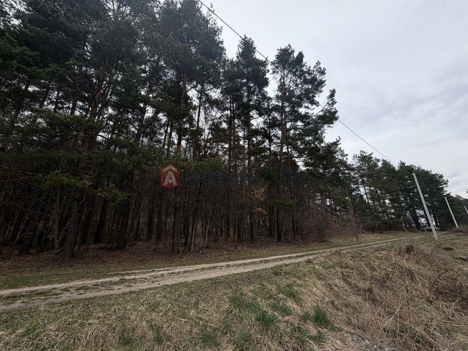 Продається земельна ділянка під забудову в с. Верещиця