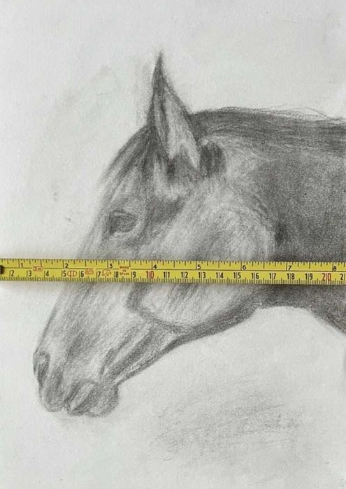 Desenho a Carvão - Cabeça Cavalo
