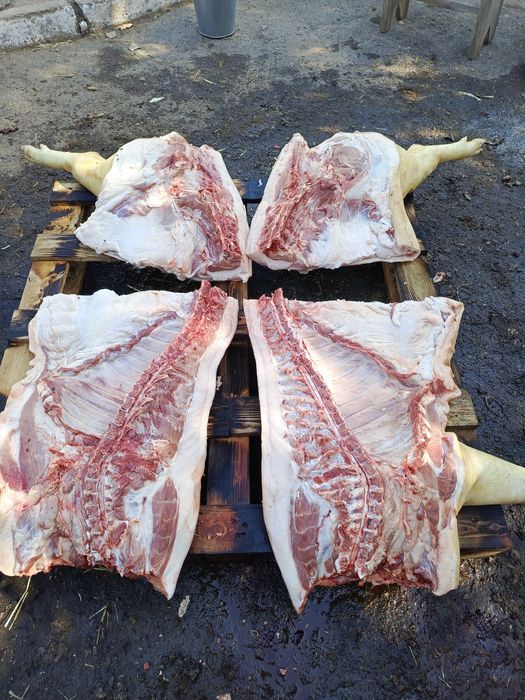 Продаю м'ясо свинини