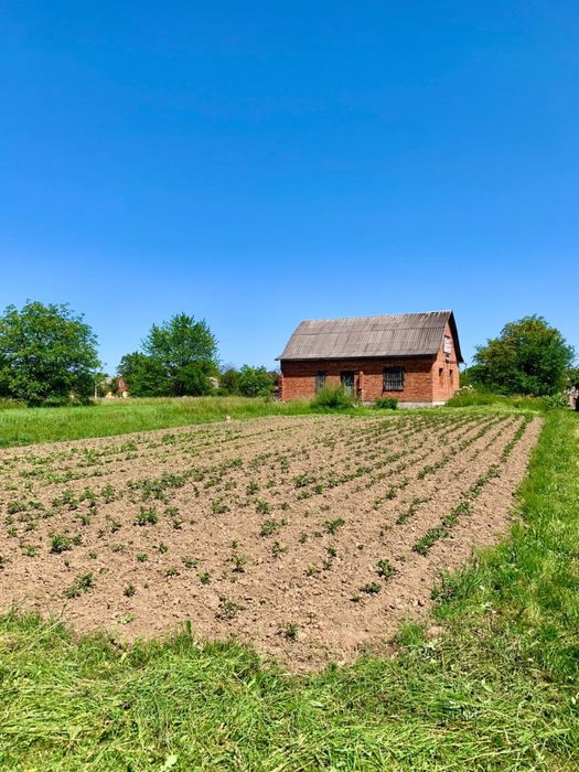 Земля з будинком в селі Мирне