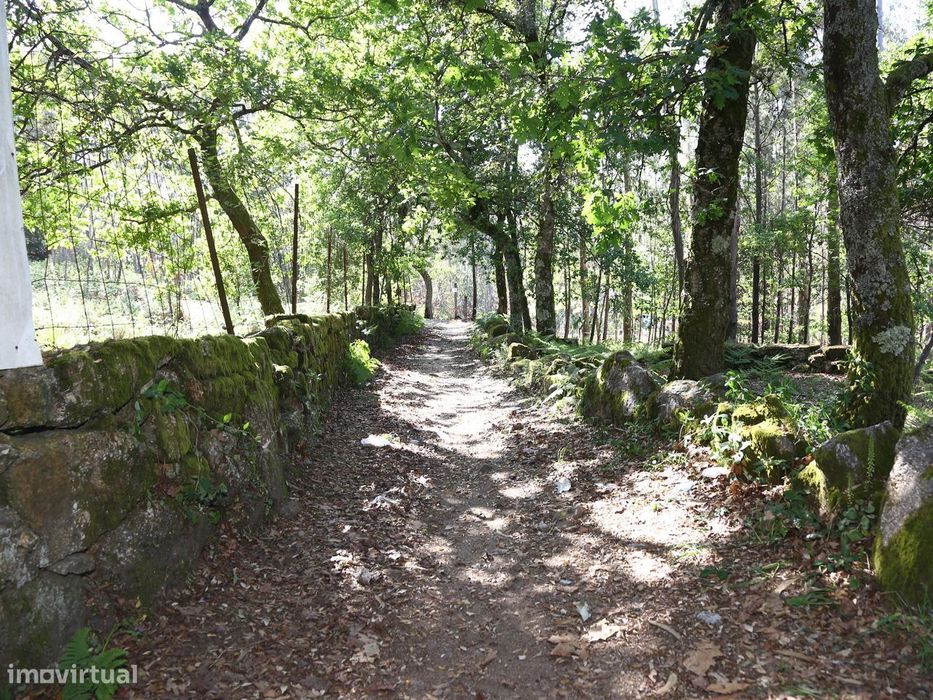 Terreno Para Construção  Venda em Lustosa e Barrosas (Santo Estêvão),L — Lustosa E Barrosas (Santo Estêvão), Porto