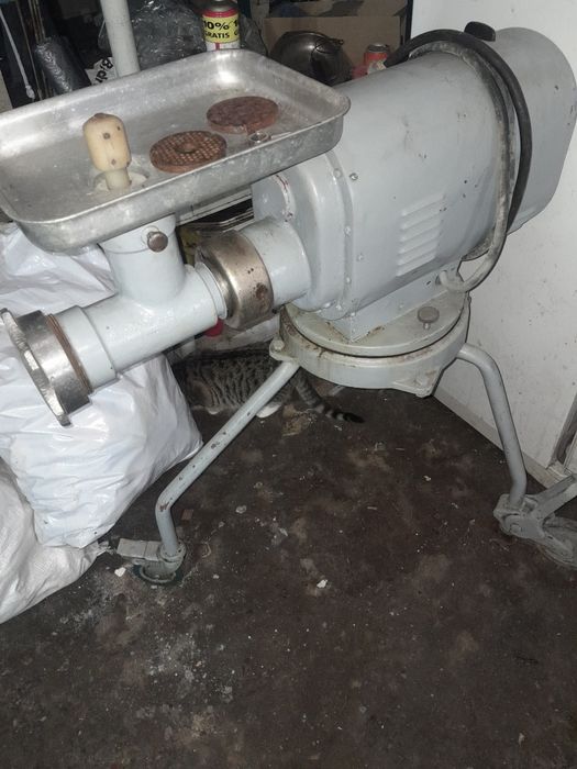 Wilk maszyna do mielenia mięsa