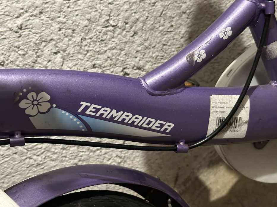 Rowerek Teamraider 16