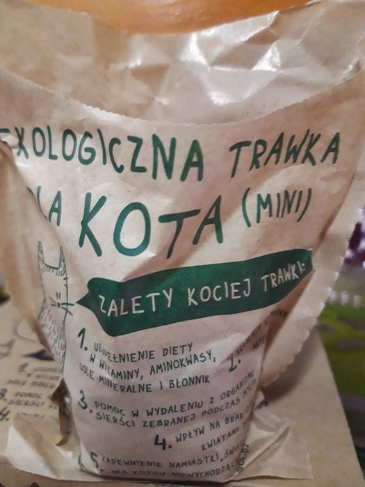 Trawa dla kota  ekologiczna