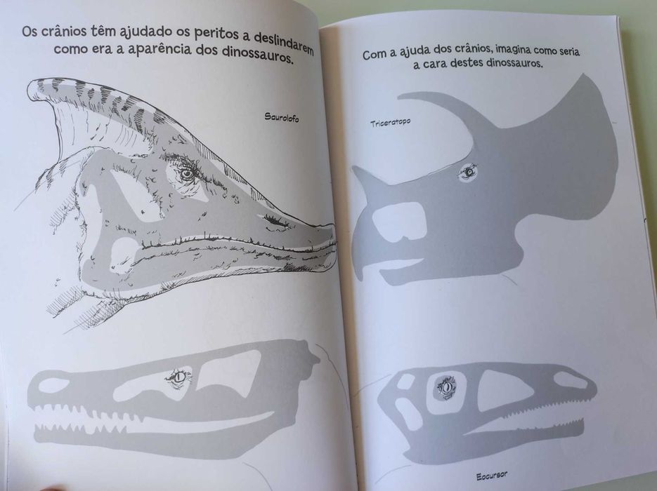 Vários Livros Infantis/Juvenis entre 2.00€ e 4,00€ cada