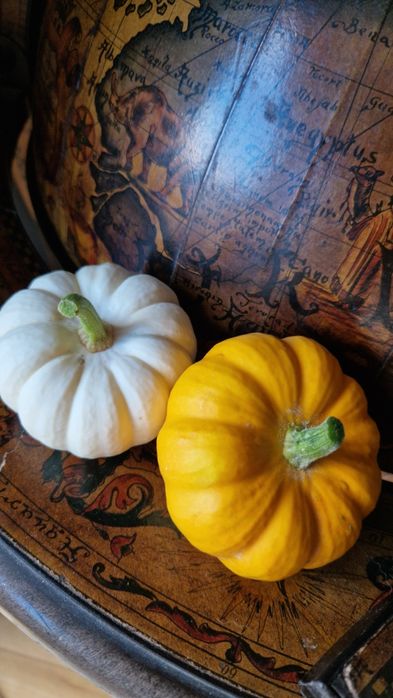 Sprzedam dynie, babyboo, biała dynia, ozdobna. Dynia piżmowa, olbrzymia, halloween, jadalna.