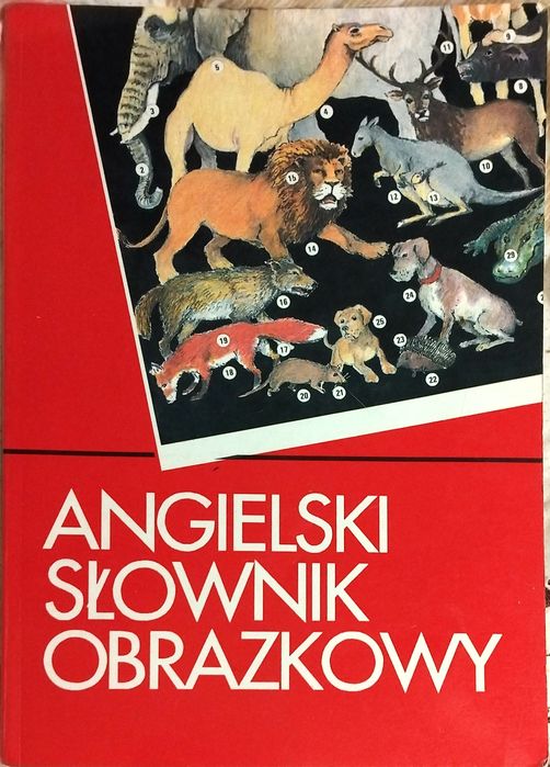 Angielski słownik obrazkowy