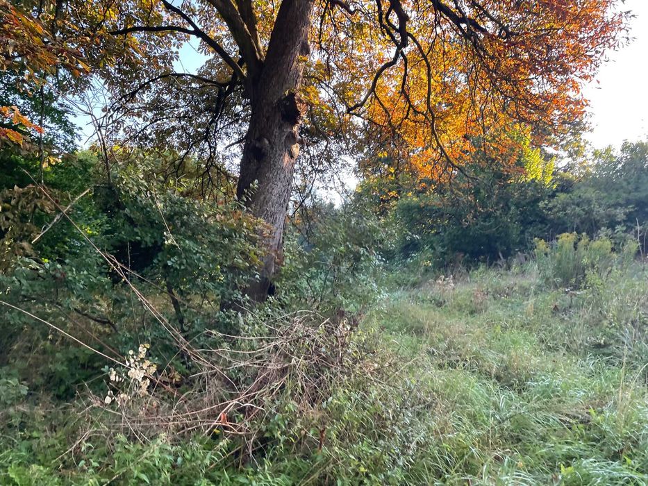 Siedlisko - Działka - warunki zabudowy - Kościuszki!!