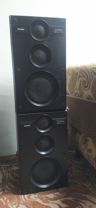 Акустична система 25АС-311.