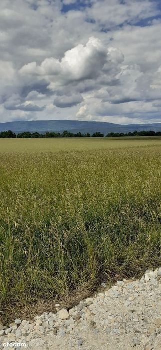 Działka budowlana w górach Kotlina Kłodzka. Widok pasmo gór wokół