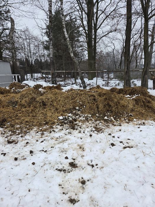 Oddam obornik koński