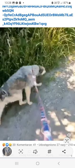 Suczk szuka.fsjnych ludzi