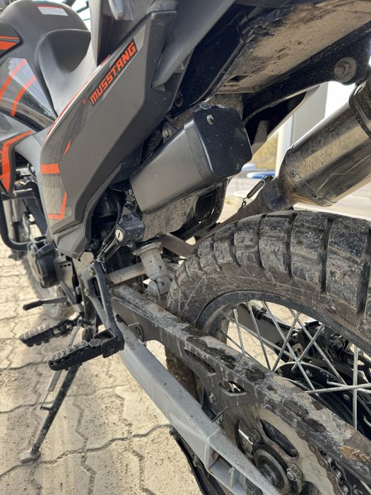 Musstang Challenge GT 250 (2024)