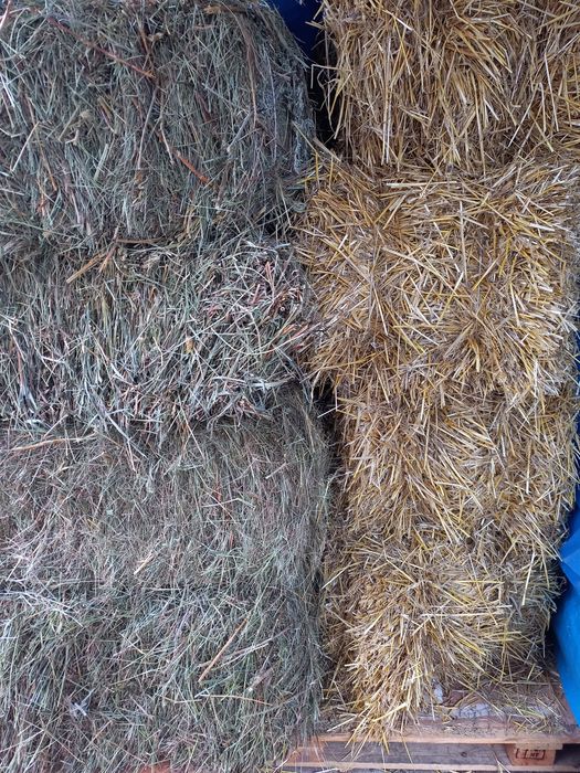 Продам сено тюки большие солома ДОСТАВКА