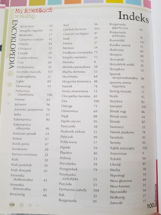 Encyklopedia na ścieżkach wiedzy 100 bezkręgowców, kwiatów, ptaków