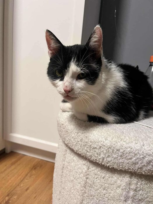 DOM potrzeby na JUŻ!