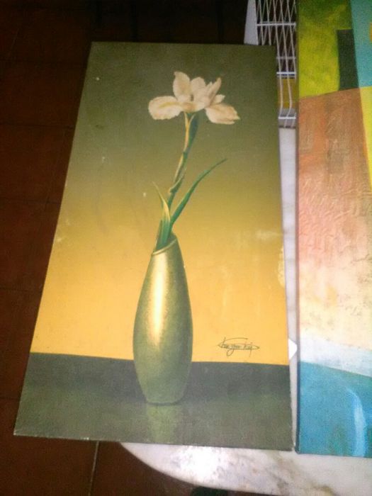 Conjunto de 5 Quadros Flores